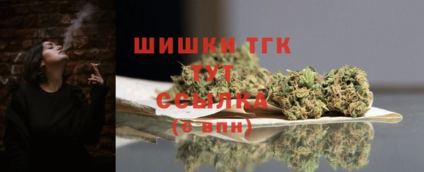 хмурый Дмитровск