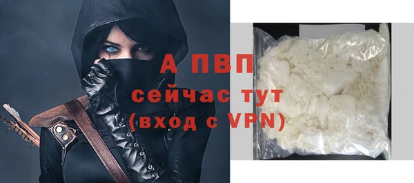 хмурый Дмитровск