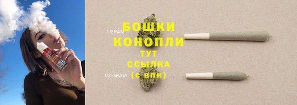 хмурый Дмитровск