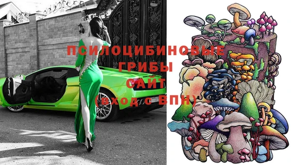 каннабис Дмитров