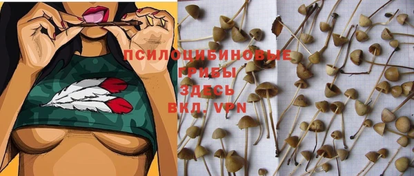 мескалин Дмитриев