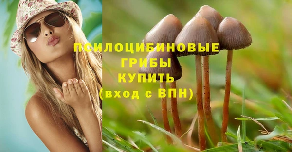 каннабис Дмитров